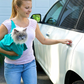 🔥Hot Sale 49% OFF🐱Cat Carrier Pouch