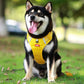 🔥Christmas Sale 49% OFF - Reflective Dog Chest Strap