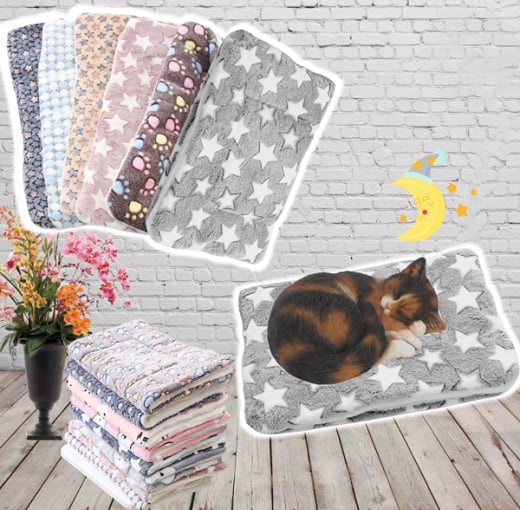 🎅Christmas Sale 50%OFF🐱Cosy Calming Pet Blanket🏆#1 Best Seller