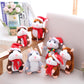 🥳2026 HOT SALE - Only ￡9.99!💞50K+ SOLD! 🐹✨ 50% OFF! Talking Hamster Plush – repeats whatever you say, auto head-shaking, hilarious fun for kids & adults. Perfect gift & pet entertainment! 🎁💚